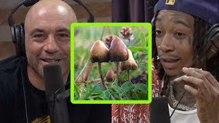 Wiz Khalifa Talks About Tripping on Mushrooms