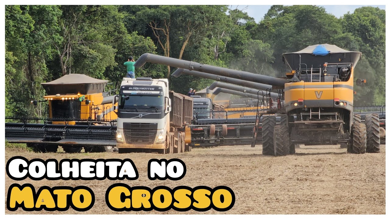 LINDO DE VER TANTAS MÁQUINAS JUNTAS COLHENDO SOJA