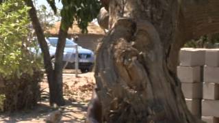 Marula National Products Trust