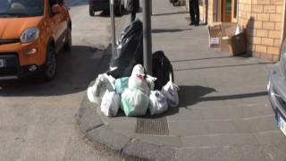 dissequestrato-lo-stir-di-pianodardine