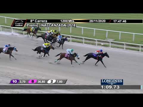 201128 c08 1° REGAL CASSANDRA (BRZ) - MAROÑAS