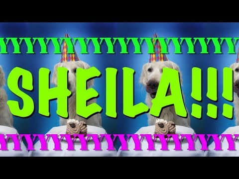 HAPPY BIRTHDAY SHEILA! - EPIC Happy Birthday Song