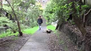 Music Video - Love Won't Make You Cry  by Bitter's Kiss