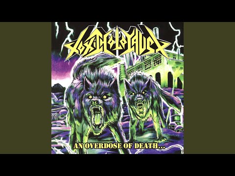 Feedback, Blood & Distortion