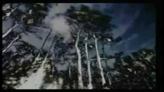 Kosheen - Empty Skies