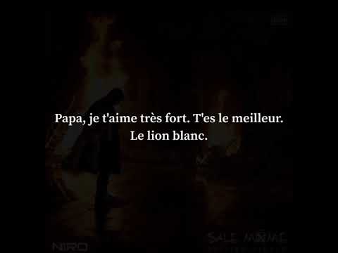 Niro - Le lion blanc (Wahid) ft. Senyss (Lyrics/Paroles)