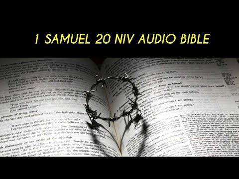1 SAMUEL 20 NIV AUDIO BIBLE (with text)