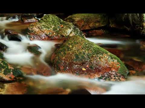 9 Hours Gentle Running Water and Wind Chimes for Deep Sleep, Relaxing, Study