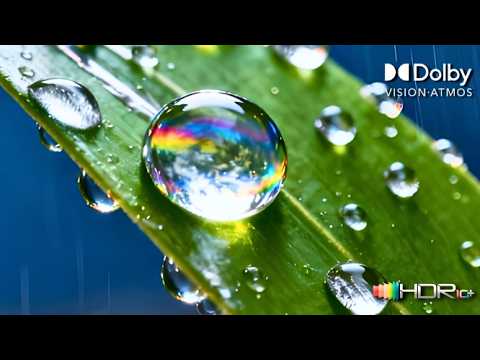 The OLED Revolution – HDR Dolby Vision 4K UHD Showcase (4K/8K TV)