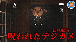 【呪われたデジカメ】"霊が写る"カメラで撮影していくホラーゲームを初見実況！【チラズアート】