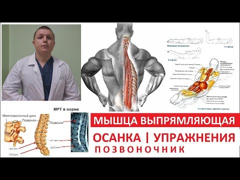 Дистальных межфаланговых суставов фото Упражнения на статику для грудного отдела
