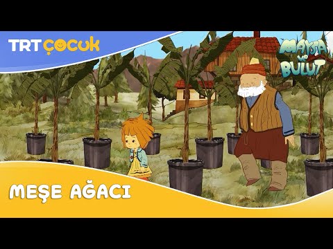 Maysa ve Bulut | Meşe Ağacı