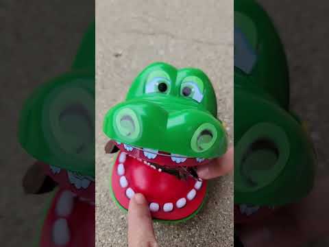 #asmr Chewie eating #sneakers #sneaker #chocolates #candylover #chocolate #candies #playtime