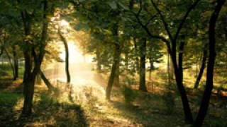 Cell - Golden Roots