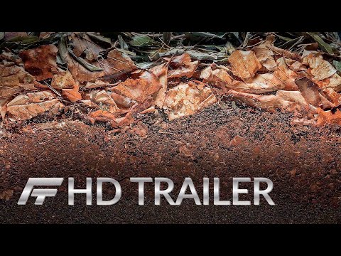 UNSER BODEN, UNSER ERBE (2020) HD Trailer (Deutsch / German)