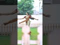 Vaishnavi Arulmozhi Peranbu  Aarthi  Jeeva  Rajeshwari  Vaishnavi  Vijay  ZeeTamil  LiveReel