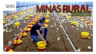 Miniatura do vídeo