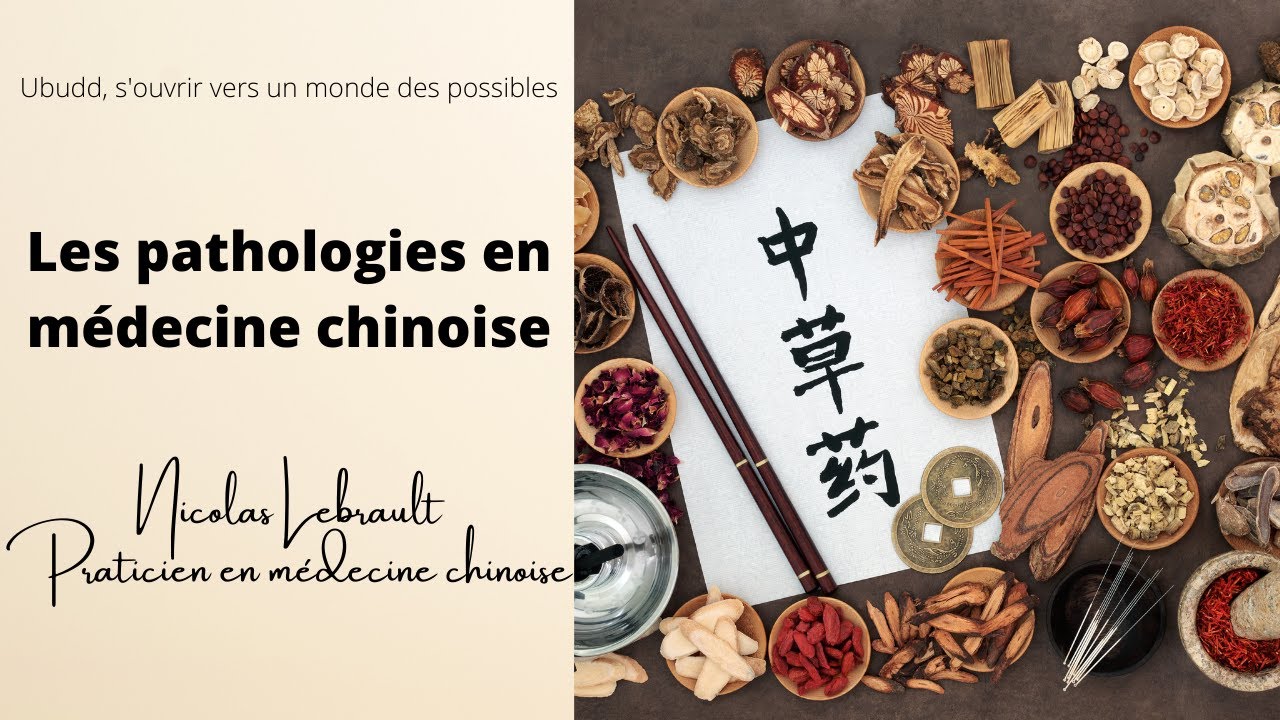 Watch video les différentes pathologies traités en médecine chinoise, avec Nicolas Lebrault. les différentes pathologies traités en médecine chinoise, avec Nicolas Lebrault.