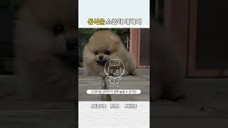 동식물 소중히 대하기내용