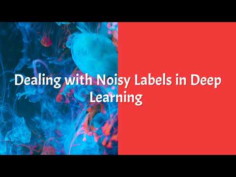 Dealing with Noisy Labels in Deep Learning