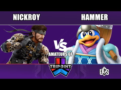 Tripoint Smash 245 - Amateurs GF - NickRoy(Snake) Vs. Hammer(King Dedede)