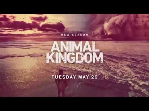 Animal Kingdom Season 3 (Promo 'Danger')