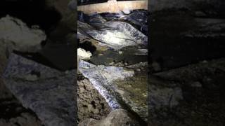 Watch video: This homeowner in Lyons thought his family...