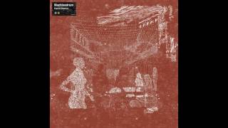 Machinedrum - "Back Seat Ho" [2014]