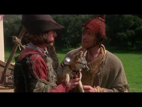 Faceci w Rajtuzach - Lis Polecony