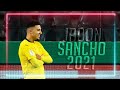 Jadon Sancho 2021 - Best Dribbling Skills & Goals & Assists
