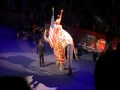 United States Anthem Ringling Bros Barnum Bailey
