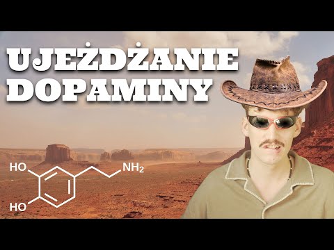 obejrzyj, jeśli NIE MOŻESZ SIĘ SKUPIĆ (23 lata z ADHD w 9 minut)