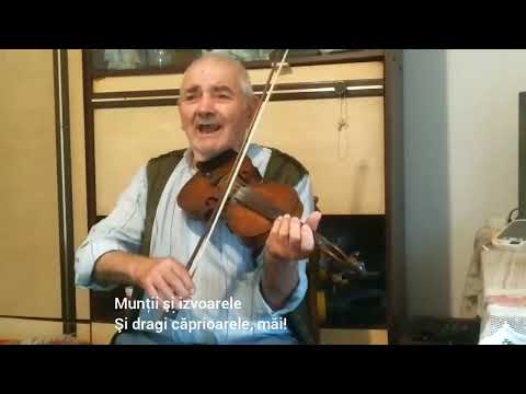 Lăutarul Miroslav a lu Ciulin din satul Șărbanuț, Valea Timocului — cântec de înmormântare cu lăută