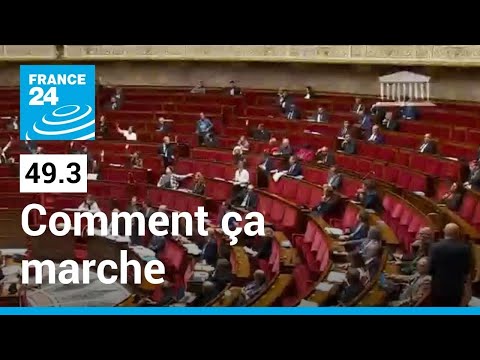 Usage de l'article 49.3 en France : pourquoi et comment ça marche • FRANCE 24