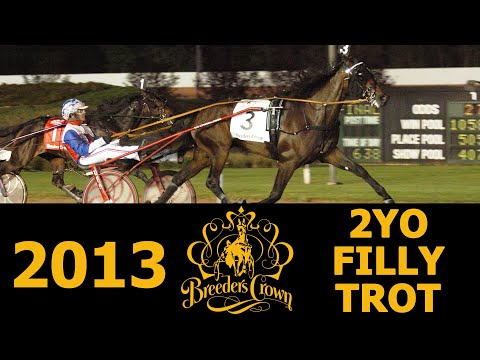 2013 Breeders Crown - Shake It Cerry - 2FT