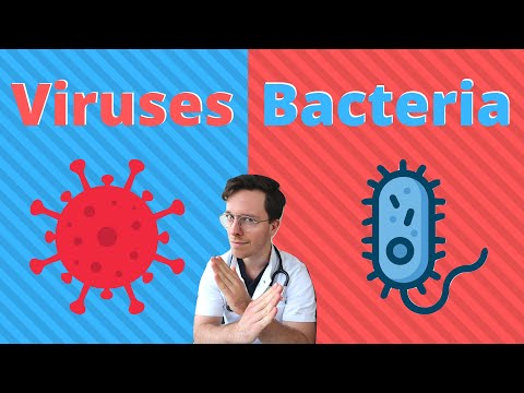 Bacteria vs viruses | What are the differences? - Doctor Explains
