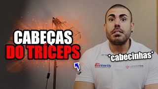 Preciso treinar as 3 cabeças do tríceps?