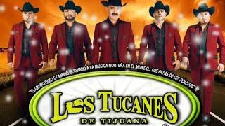 Te Quiero Tanto No Sé Ni Cuánto - Los Tucanes De Tijuana (serge djbcmx)