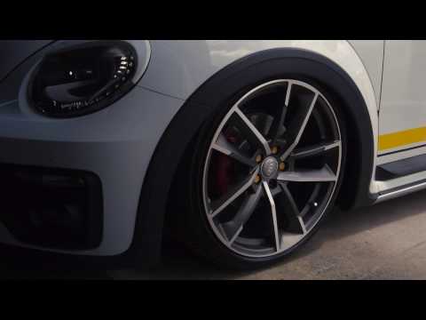 Charger SRT-8 LB Works and Beetle Concept R by ELITE UNIT