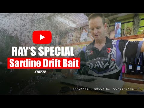 Ray's Special Drift Sardine for Shad | ASFN Baits