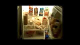 InCircles - "Long Island" Official Music Video