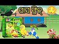 ଘାସ ଫ୍ରିଜ୍ Ghas ka Fridge Tiki chadhei gapa  Odia stories Odia gapa Bird stories Odia kahani