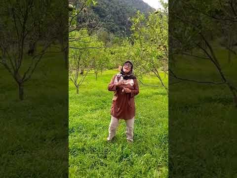 cover lagu takicuah Dinan Tarang by desmydarling ratu Chaniago