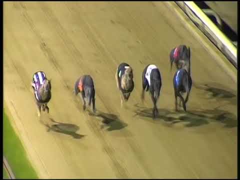 2017 SUNBETS EAST ANGLIAN DERBY - HEAT 6 - T2 VELVET BLAZE