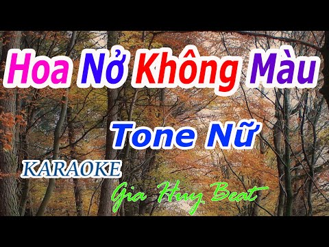 Hoa Nở Không Màu - Karaoke - Tone Nữ - Nhạc Sống - gia huy beat