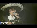 Vicente Fernández, Mariachi México de Pepe Villa - El Tahur (Audio)