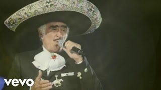 Vicente Fernández, Mariachi México de Pepe Villa - El Tahur (Audio)