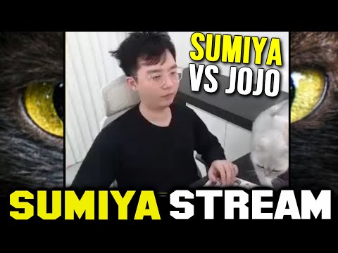 My Cat doesn't like me to play Dota | Sumiya Invoker Stream Moment 3331