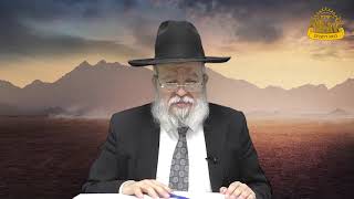 דף היומי בחצי שעה - סוטה דף מ"ב