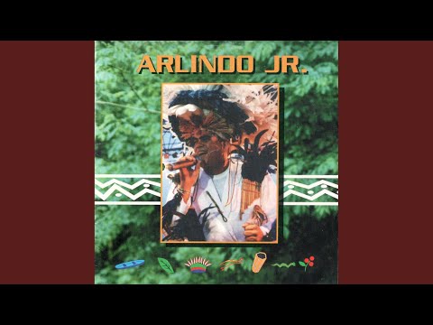 Festa na Floresta (Ao Vivo)